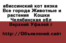 абиссинский кот вязка - Все города Животные и растения » Кошки   . Челябинская обл.,Верхний Уфалей г.